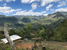 Load image into Gallery viewer, Honduras - Bella Vista