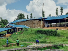 Load image into Gallery viewer, Kenya - Rung´eto Kii