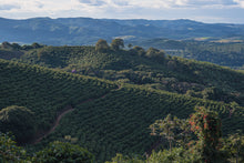 Load image into Gallery viewer, Brasil Fazenda Sertão Natural